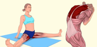10 Pictures That Will Help You See What Muscles You Are Stretching