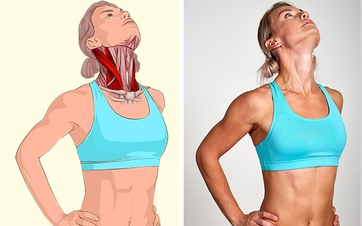 Neck Front Muscles Stretching