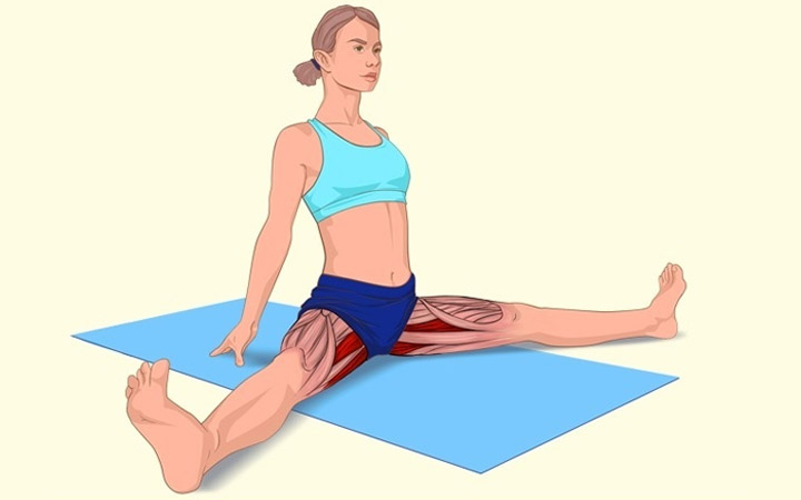 The Pelvic Muscles Stretching