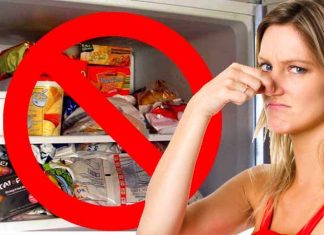 The 10 Foods You Will Regret Placing in the Freezer