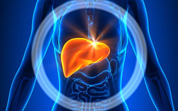 Tips for a Liver Cleanse