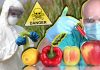 10 Deadly Problems of Genetically Modified Foods You Need to Know