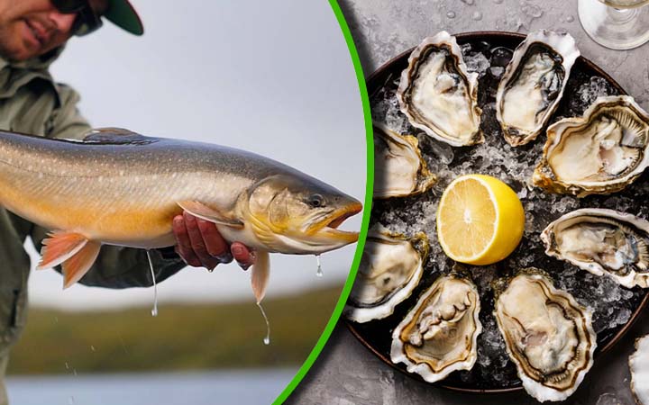 10 Of The Healthiest Fish You Should Be Eating