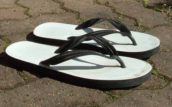 Flip-Flops or Shower Shoes