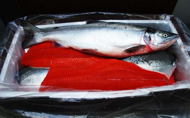 Wild Salmon From Alaska